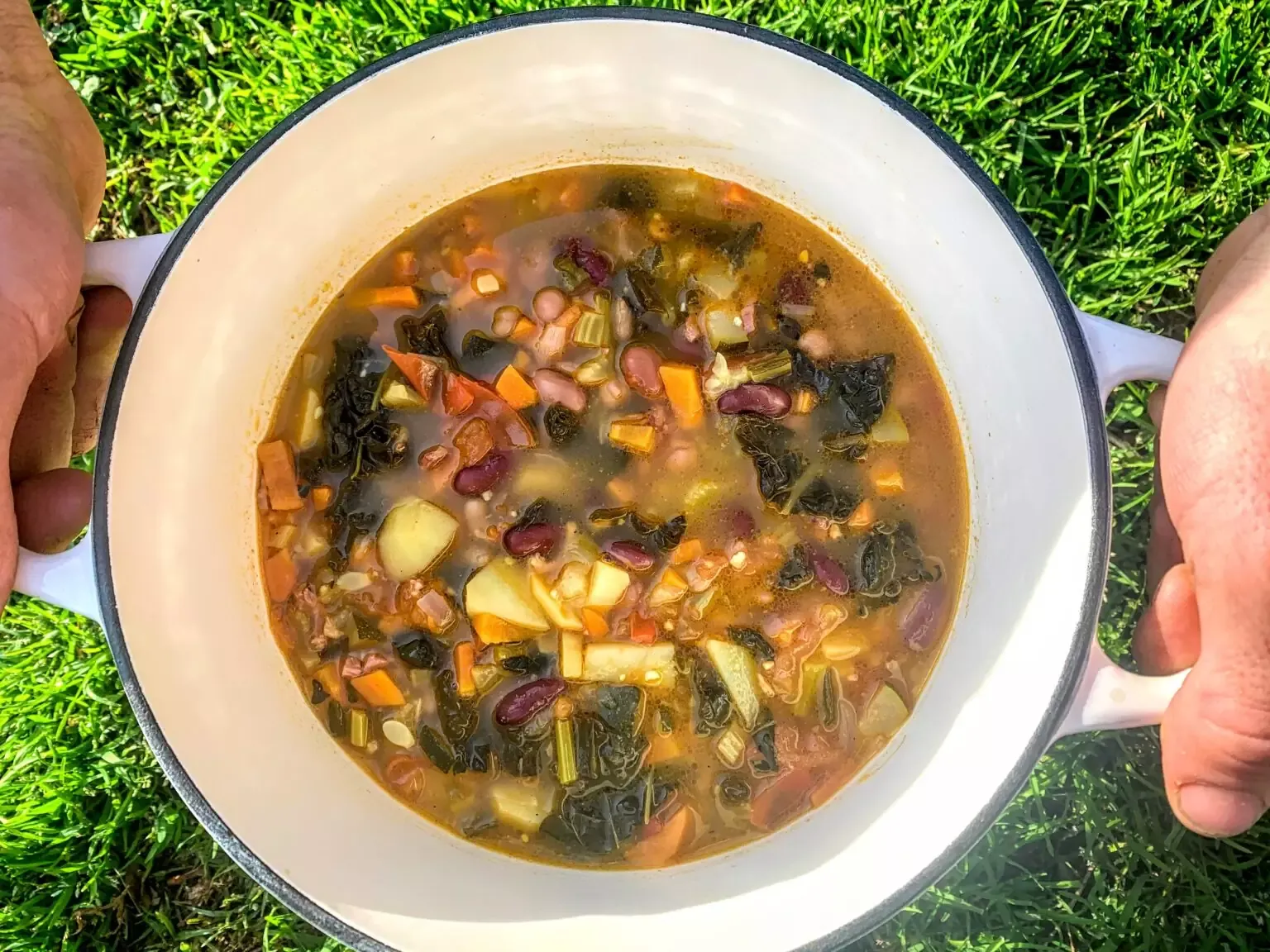 Healing Minestrone Soup
