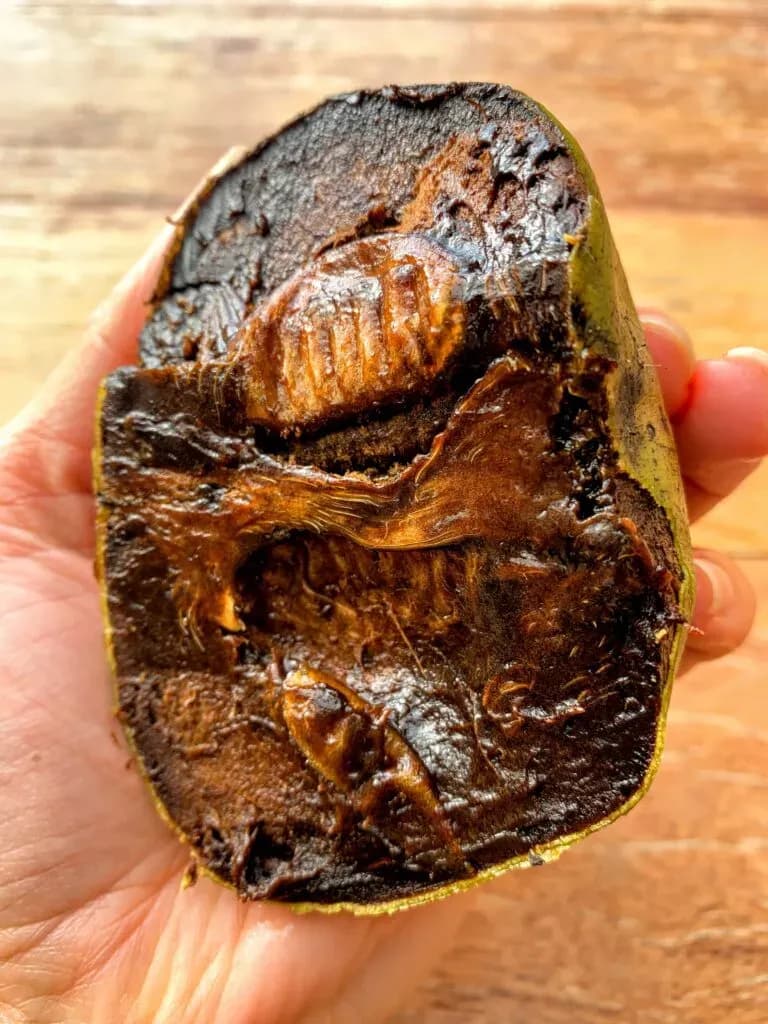 Incredible Sapote Pudding
