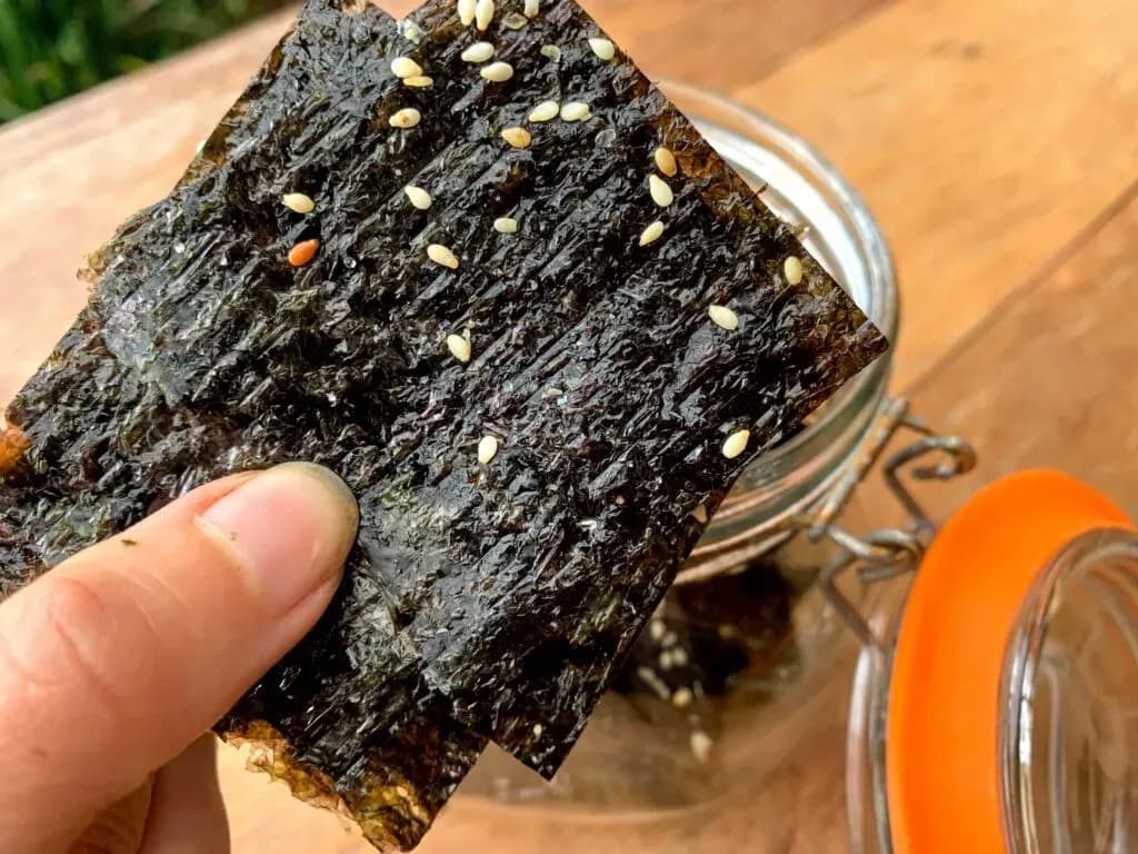 Seaweed Chips